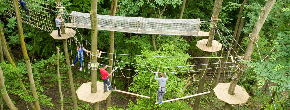 GoApe Chessington – Saturday 17th July