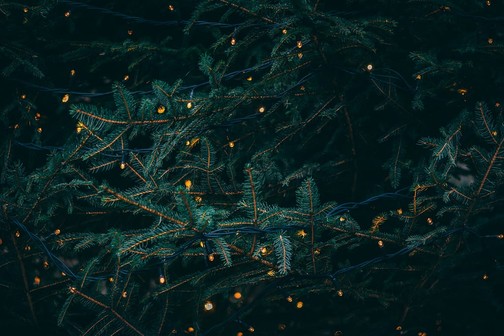 Christmas in Lincoln 2023