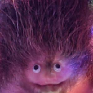 Profile photo of Dangerfield