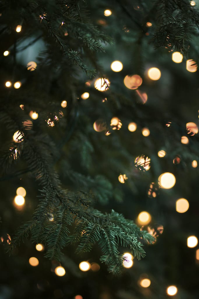 Christmas in a Castle (Full Payment)